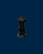 Cargar imagen en el visor de la galería, Torsos
