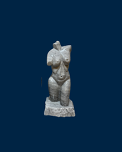 Cargar imagen en el visor de la galería, Torsos
