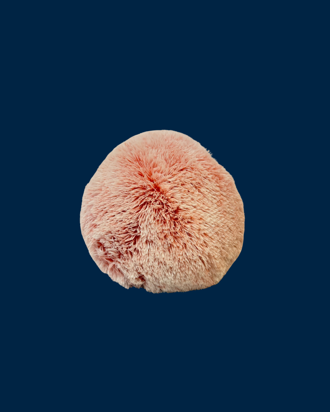 Bola Rosa