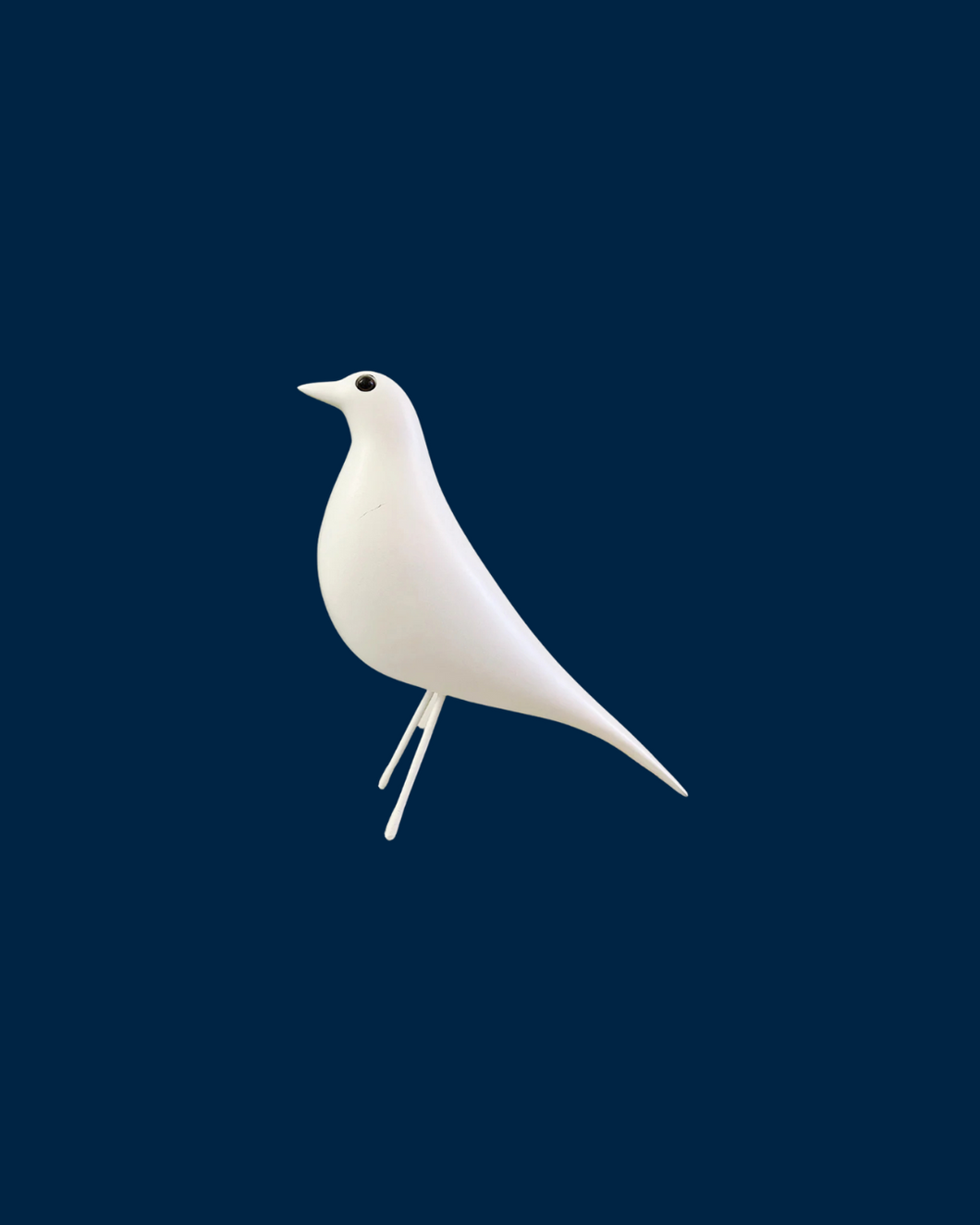 PALOMA